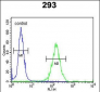 DZIP1 Antibody (Center)